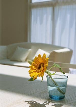 傷や汚れに強くなるフロアコーティング