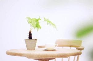 作業手順書が応用される業界とは