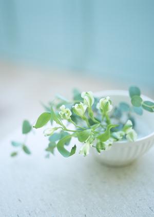 外壁塗り替えは定期的に行おう。