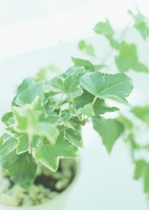 三層構造の床暖房用フローリング